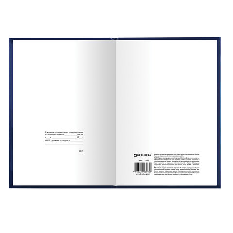 Журнал учета для розничной торговли Brauberg (А4, 96л, бумвинил, фольга) (111270)