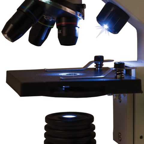 Микроскоп учебный Levenhuk Rainbow 2L, 40-400 кратный, монокулярный, 3 объектива (69035)