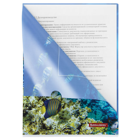 Папка-уголок Brauberg Sea world (А4, 150мкм, пластик) цветная печать (228042), 12шт.