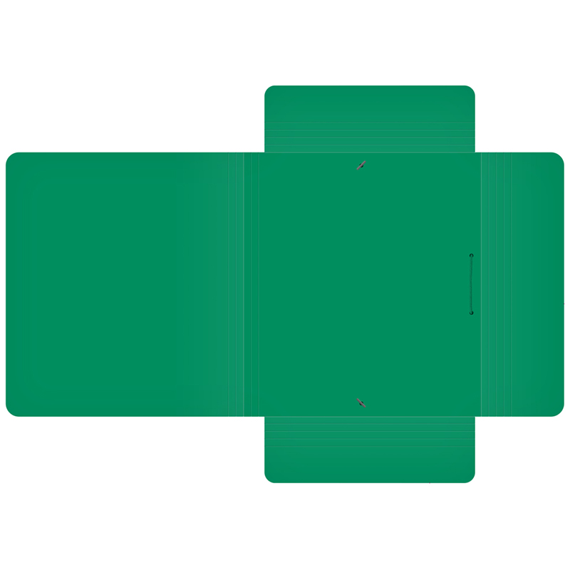 Папка на резинках пластиковая Berlingo Soft Touch (А4, 600мкм, до 300 листов) зеленая (FB4_A4983)