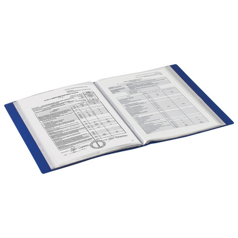 Папка файловая 100 вкладышей Brauberg Стандарт (А4, пластик, 900мкм) синяя (221609)