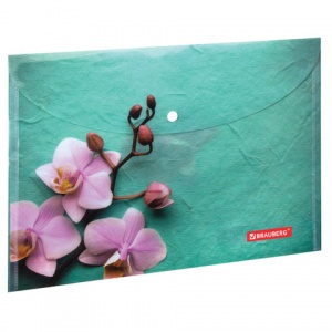 Папка-конверт на кнопке Brauberg Flower (А4, 160мкм, до 100 листов) цветная печать (228031)