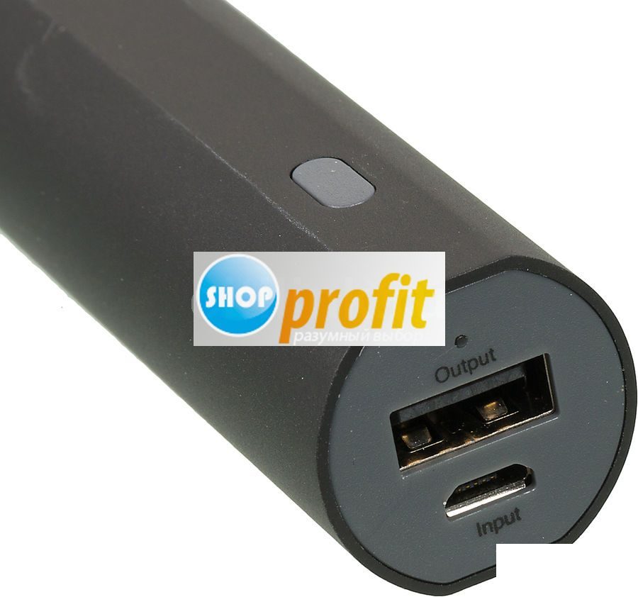 Мобильный аккумулятор GP Portable PowerBank FN03M, 3000мAч, черный (GPFN03MBE-2CRB1)