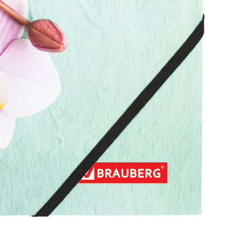 Папка на резинках пластиковая Brauberg Flower (А4, 37мм, до 300 листов) рисунок (228032)