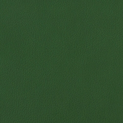 Тетрадь на кольцах 120л, А5 Brauberg &quot;Joy&quot; (клетка, кожзам &quot;под фактурную кожу&quot;, зелёный/светло-зелёный, 180х220мм) 129991)