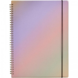 Бизнес-тетрадь А4 Attache Selection Rainbow, 80 листов, разноцветная, клетка, спираль (218х294мм)