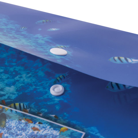 Папка-конверт на кнопке Brauberg Sea World (А4, 160мкм, до 100 листов) цветная печать (228041)