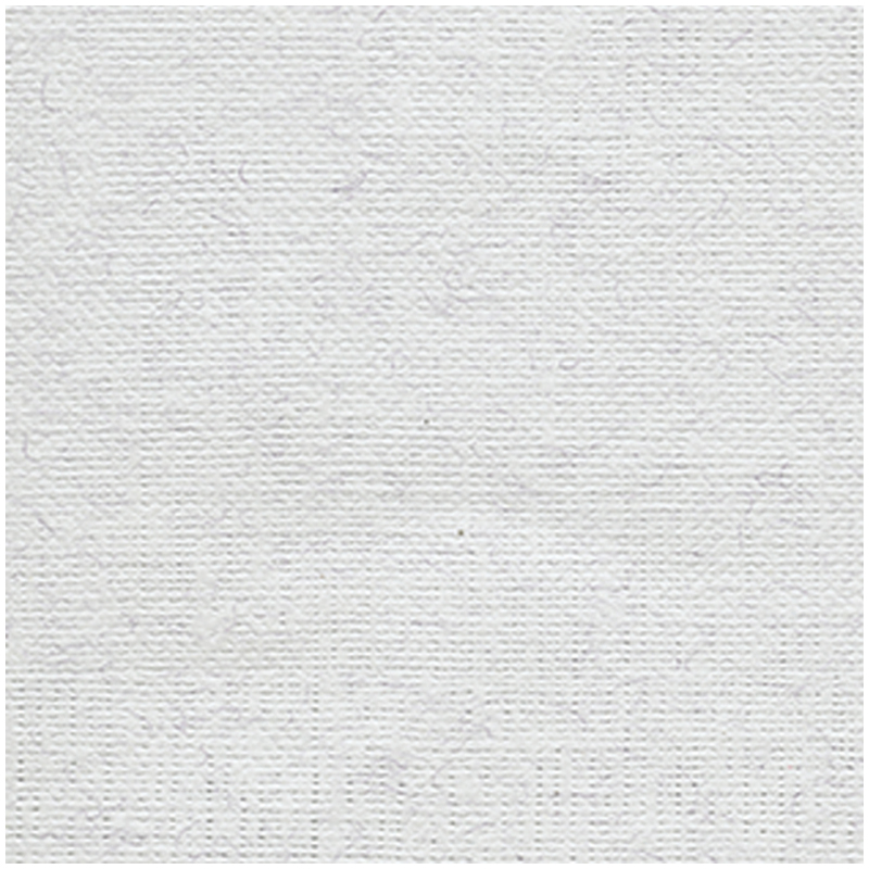 Бумага для пастели Лилия Холдинг &quot;Палаццо&quot;, 500x700мм, 160 г/кв.м, белый лед, 10шт. (БРI/B2)
