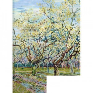 Тетрадь общая 48л, А5 Art-Blanc Van Gogh" (клетка, скрепка)