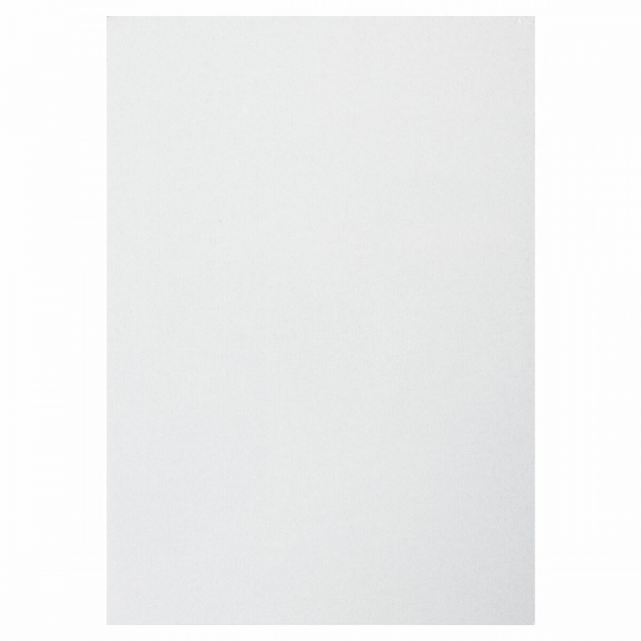 Картон белый мелованный Brauberg (50 листов, А4) 2 уп. (113563)