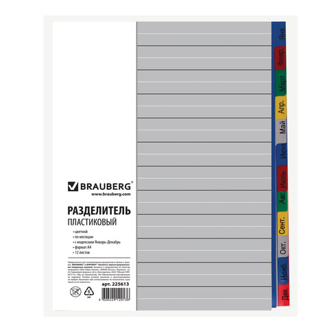 Разделитель листов пластиковый Brauberg (А4, на 12л., по месяцам, оглавление) цветной (225613)