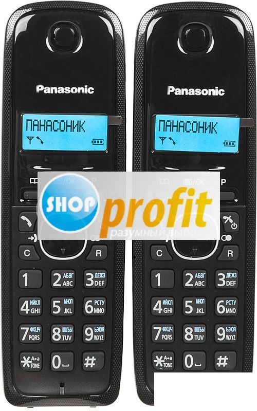 Радиотелефон Panasonic KX-TG1612RU3, черный, 2 трубки (KX-TG1612RU3)