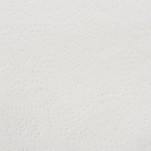 Бумага туалетная для диспенсера листовая 2-слойная Лайма Premium T3, белая, 30 уп. по 250 листов (112515)