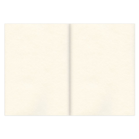 Альбом для эскизов А5, 120л Brauberg (100 г/кв.м) кремовая бумага, прошивка (128961), 30шт.