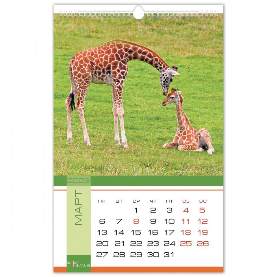 Календарь на гребне с ригелем, 2023 г., 30х45 см, ЛЮКС, &quot;Animals&quot;, HATBER, (12Кнп3гр_26042)