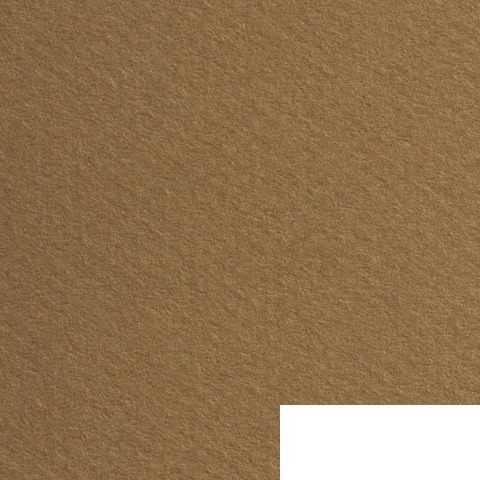 Бумага для пастели Canson &quot;Mi-Teintes&quot;, 500х650мм, 160 г/кв.м, 2-сторонняя, светло-коричневая, 25шт. (125722)