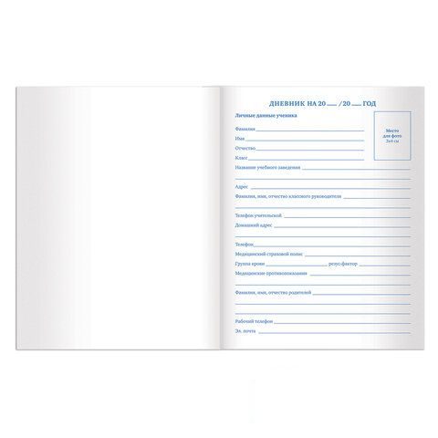 Дневник школьный для старших классов Brauberg &quot;Пастельный&quot;, 48 листов, книжный переплет (105578)