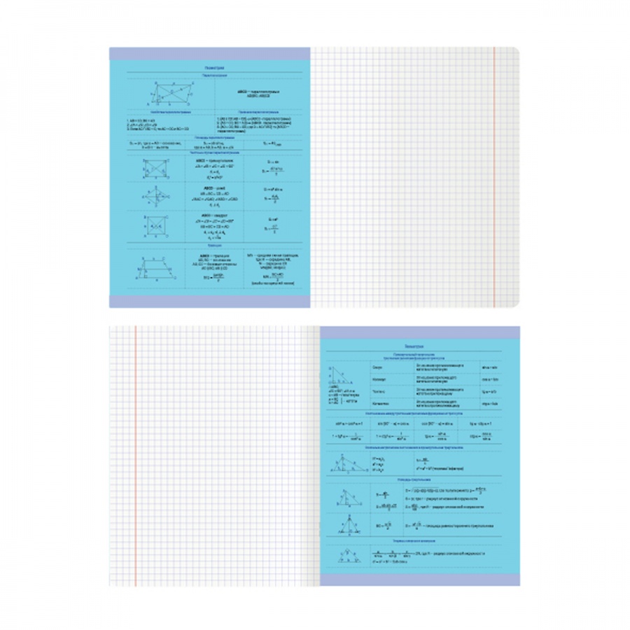Тетрадь предметная для работ по геометрии MESHU &quot;Ученый MISHKA&quot; (А5, 48л, матовая ламинация) (MS_47941), 10шт.