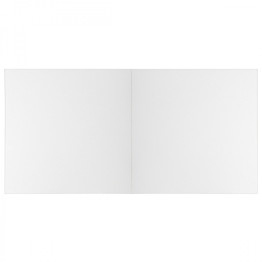 Альбом для акварели 300x300мм, 40л Brauberg Art (бумага Гознак СПб 200 г/кв.м, склейка) 2шт. (106143)