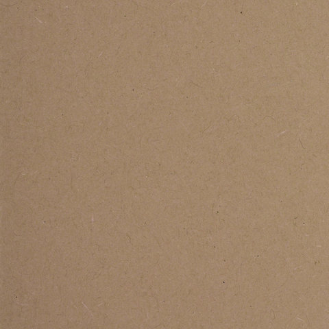 Подвесная папка А4 Brauberg (315x245мм, до 300л., картон) коричневая, 10шт. (231788)