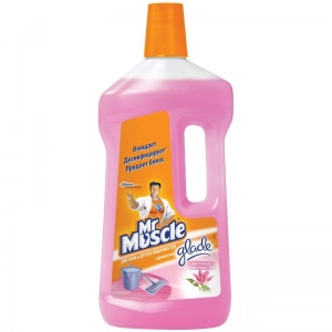 Средство для мытья полов Мистер Мускул "Цветочное совершенство", 750мл (678723)