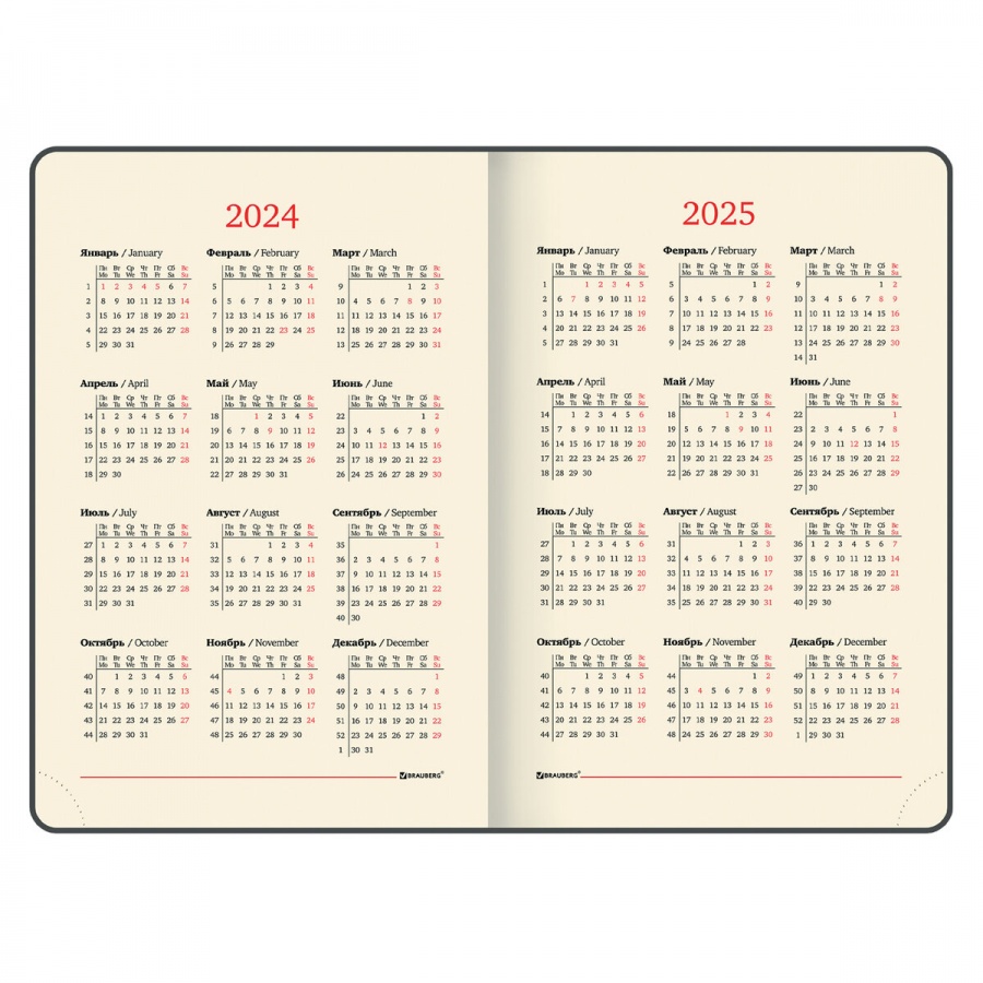 Ежедневник датированный на 2024 год А5 Brauberg &quot;Iguana&quot;, черный, 168 листов, кожзам, 138х213мм (114848)