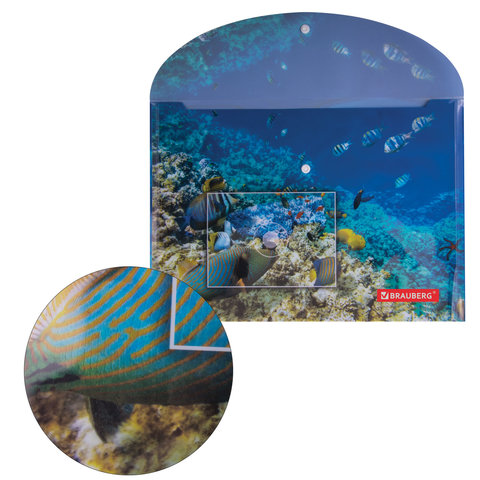 Папка-конверт на кнопке Brauberg Sea World (А4, 160мкм, до 100 листов) цветная печать (228041)