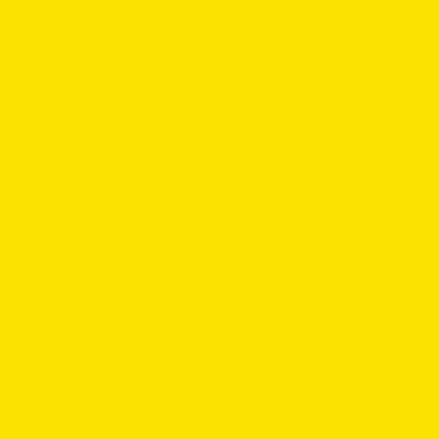 Картон цветной немелованный Brauberg &quot;Дельфин&quot; (8 листов, 8 цветов, А4, 200х290мм) в папке (129909)