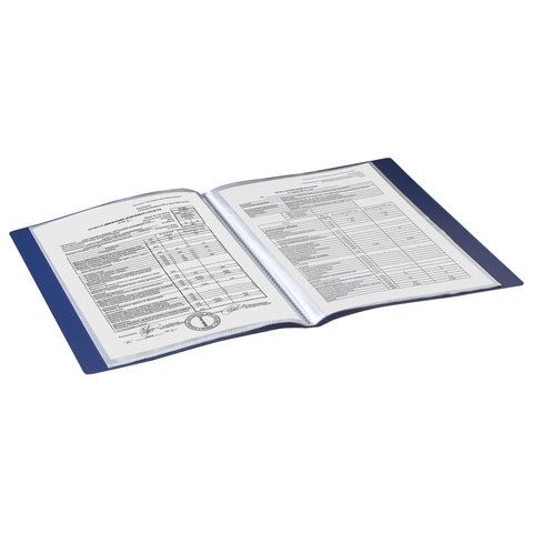 Папка файловая 20 вкладышей Brauberg Стандарт (А4, пластик, 600мкм) синяя (221595)