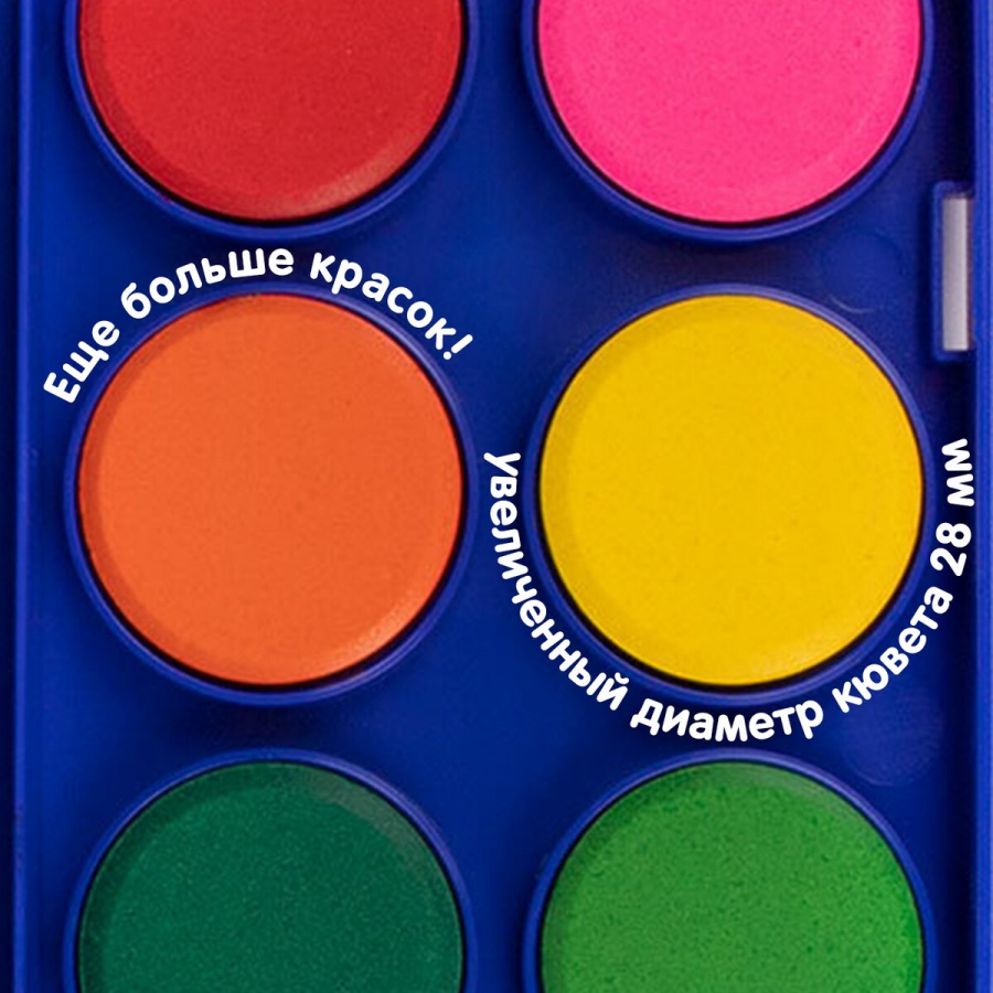 Краски акварельные 12 цветов Brauberg Premium, круглые кюветы 28мм, пенал, 6 уп. (191743)