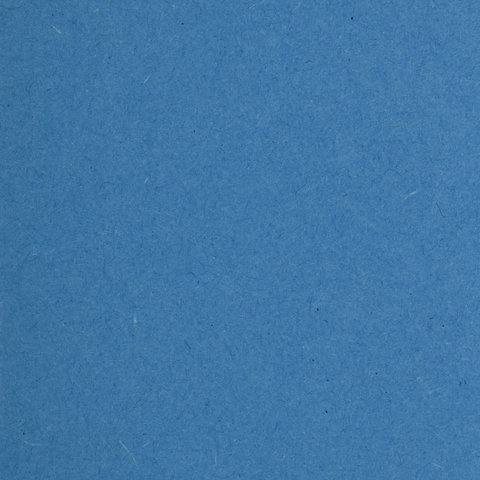 Подвесная папка Foolscap Brauberg (370x245мм, до 80л., картон) синяя, 10шт. (231793)