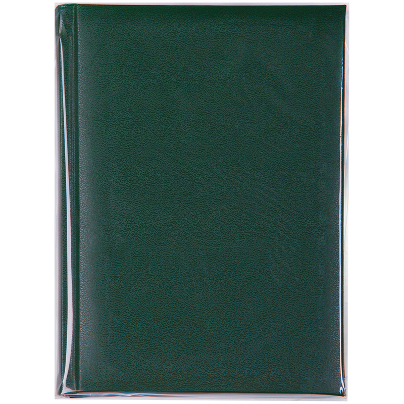 Ежедневник недатированный А5 OfficeSpace Ariane (160 листов) обложка балакрон, зеленая (En5_12437)
