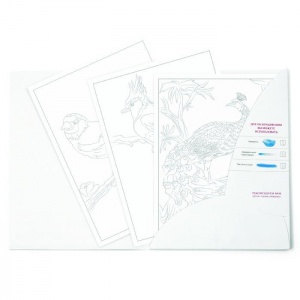 Раскраска-эскиз АРТформат "Птицы", А4, 10 листов, акварельная бумага