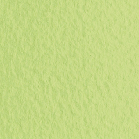 Бумага цветная для пастели Fabriano Tiziano (10 листов, 500х650мм, 160 г/кв.м, салатовая теплая) (52551011)