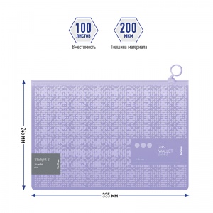 Папка-конверт на молнии Berlingo Starlight S (А4, 200мкм, пластик) фиолетовая, с рисунком (ZBn_A4904)