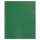 Тетрадь общая 48л, А5 Staff "Зеленый" (клетка, скрепка, бумвинил) (403412)