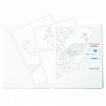 Раскраска-эскиз АРТформат "Птицы", А4, 10 листов, акварельная бумага, 20шт.
