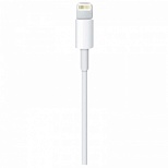 Кабель USB2.0 Apple Lightning - USB-C, 1м, белый (MQGJ2ZM/A)