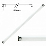Лампа люминесцентная Philips TL-D 36W/33-640 (36Вт, G13) нейтральный белый, 25шт. (872790081582500)
