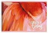 Альбом для рисования А4, 40л schoolФОРМАТ "Нежный Фламинго" (100 г/кв.м, спираль, мелованный картон)