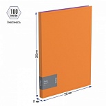 Папка-скоросшиватель с пружинным механизмом Berlingo Fuze (А4, 17мм, 600мкм, пластик) оранжевая (AHp_00316)