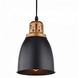 Cветильник подвесной Arte Lamp EURICA A4248SP-1, черный