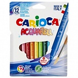 Набор фломастеров-кисточек 12 цветов Carioca Acquarell (линия 1-3мм, смываемые) картонная упаковка (42747), 24 уп.