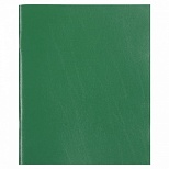 Тетрадь общая 48л, А5 Staff "Зеленый" (клетка, скрепка, бумвинил) (403413)