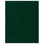 Тетрадь общая 96л, А5 BG, клетка, бумвинил, зеленый (Т5бв96к_12328)