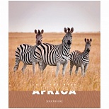 Тетрадь общая 96л, А5 ArtSpace "Животные. Nature of Africa" (клетка, скрепка) эконом (Т96кЭ_36448)